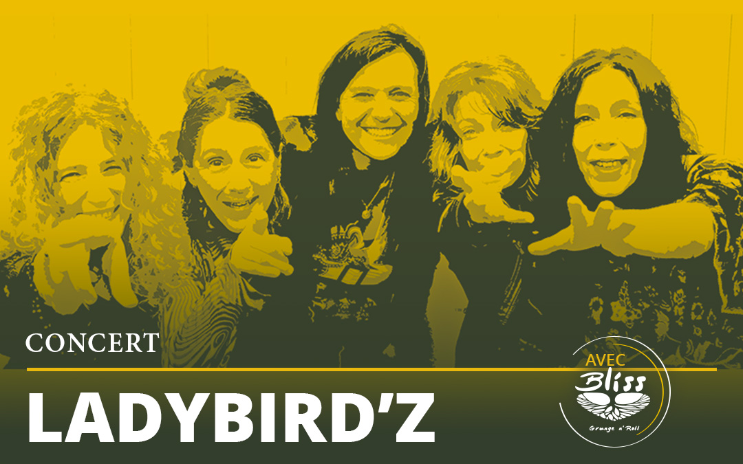 VignetteSite_1080x675_Ladybirdz